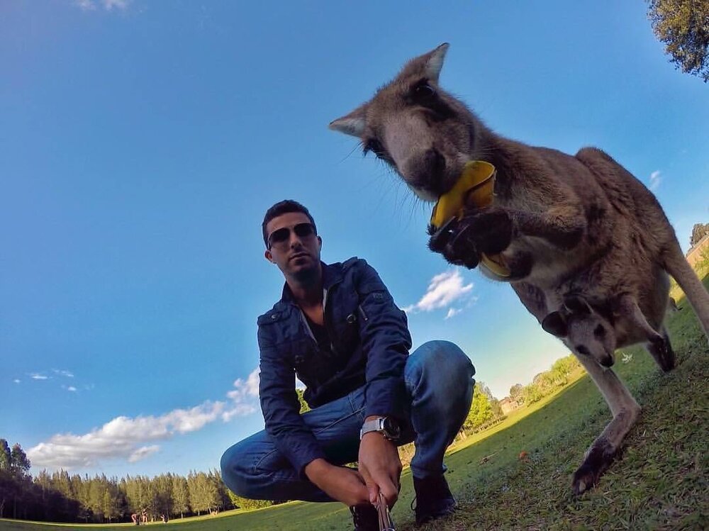 Com um canguru na Austrália